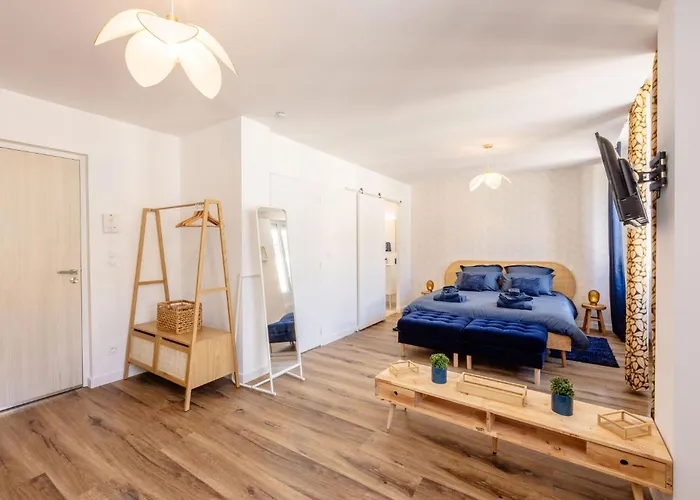 N5 Le De Montaudry - Calme - Parking Альби